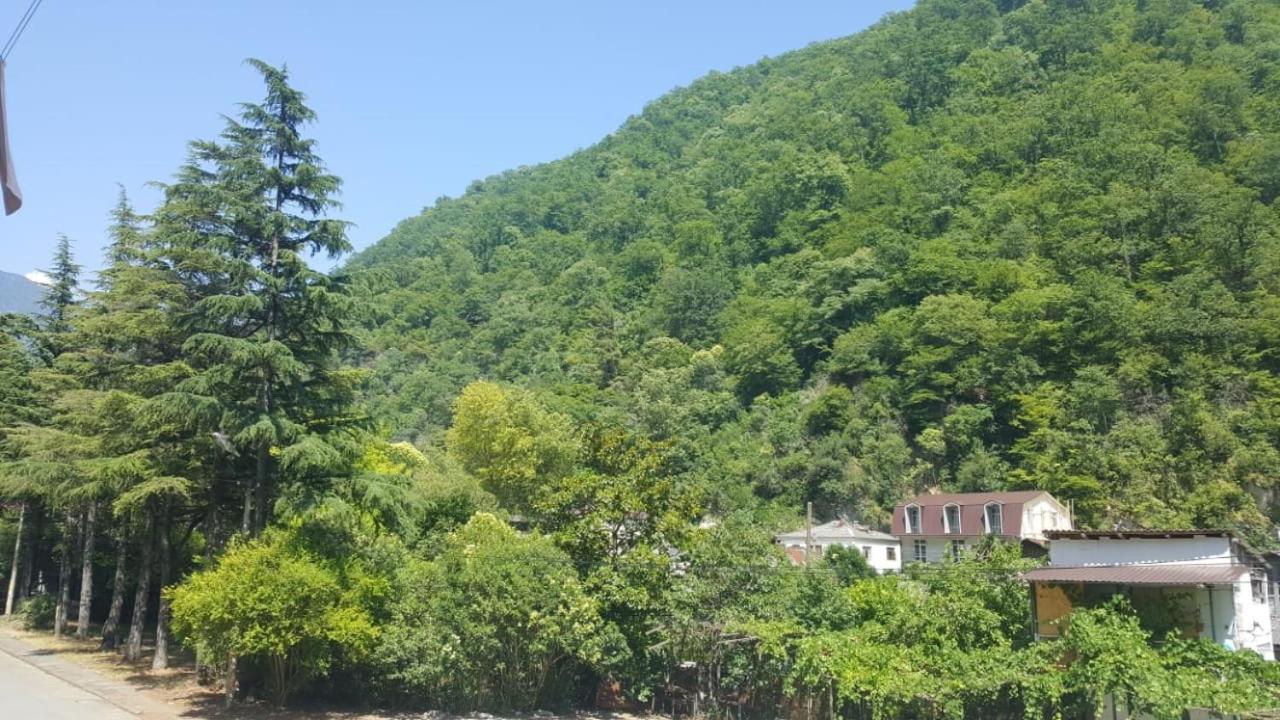 Guest House Gorny Ruchei 加格拉 外观 照片